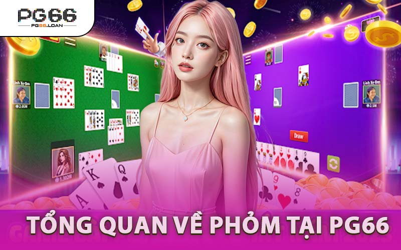 Tổng Quan Về Phỏm Tại PG66